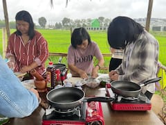 Clase de cocina y ciclismo por grandes campos de arroz