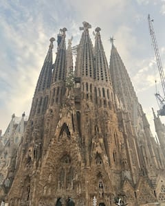 Recorrido guiado a pie por el exterior de la Sagrada Familia