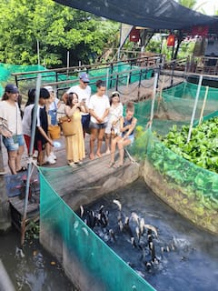 私人孙岛文化和水果之旅