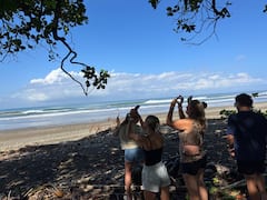 Découvrez les paresseux sauvages avec Sloth Spotter CR