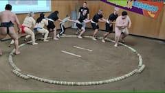 חוויית סומו מלאה בטוקיו