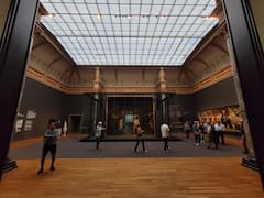 Visita el Rijksmuseum con un historiador del arte local