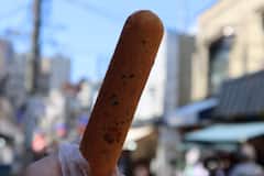 品味谷中春日风情