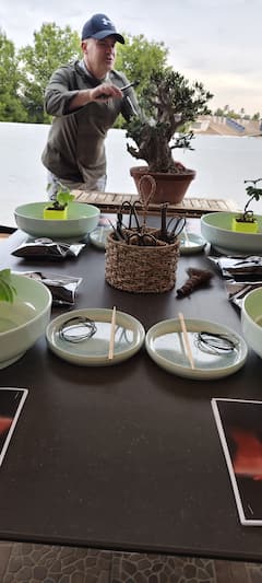 制作你的盆景，享用瓦伦西亚海鲜饭