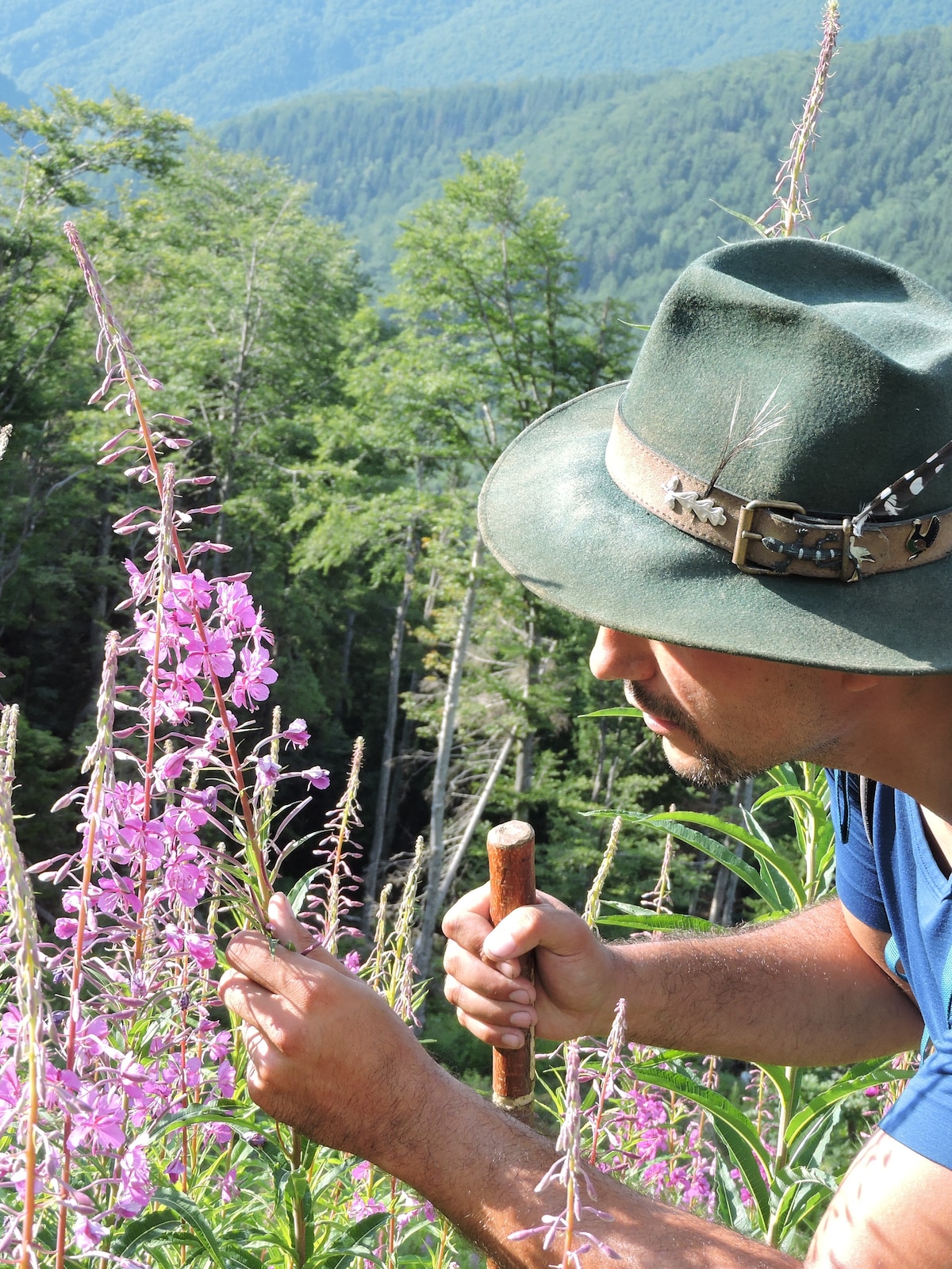 Erkunde den Wald mit einem Naturkundler in Brasov
