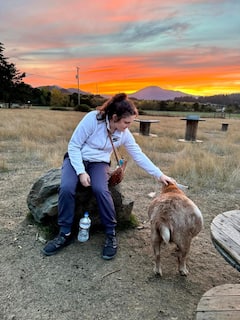 Recorre la granja con cabras felices: hora feliz con cabras