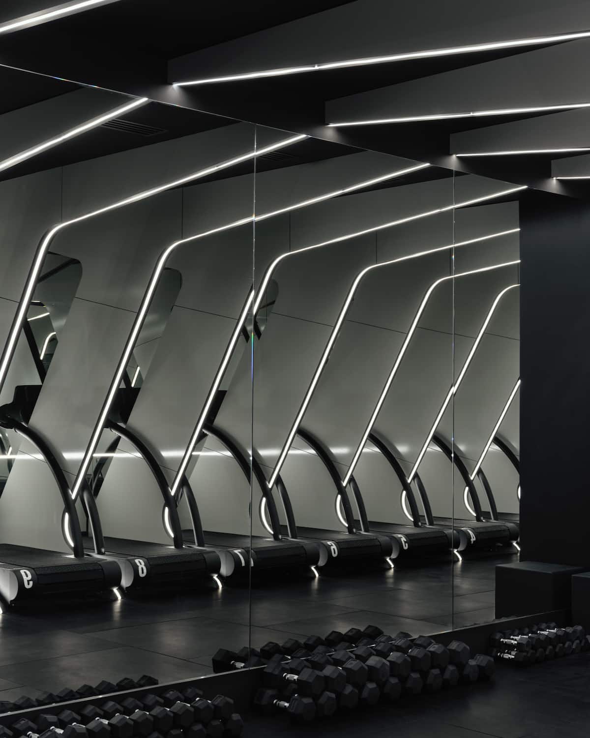 Dynamic Rig Pitures Plunge into Bold RUN’s electric cardio vibe · ★5.0