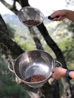 Roast Coffee by the Mountains
