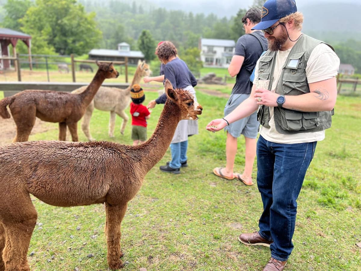 Unplug & Connect With Animals in the Catskills