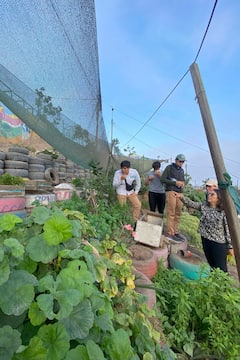 Tour por un barrio de chabolas: descubre la vida local