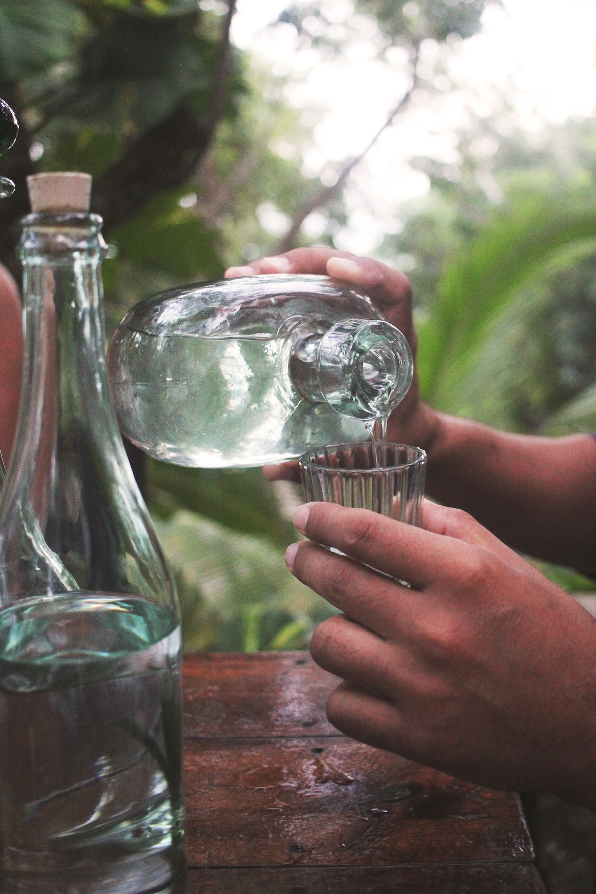 Taste women-produced artisanal mezcal