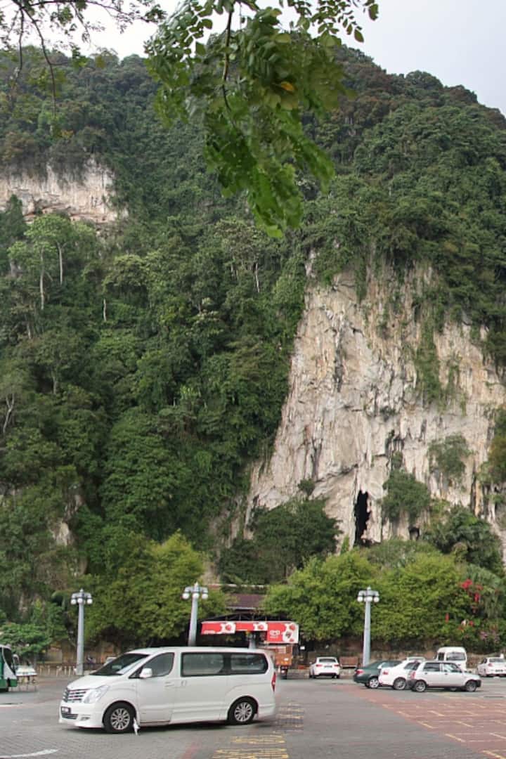 Investigate the natural history of caves