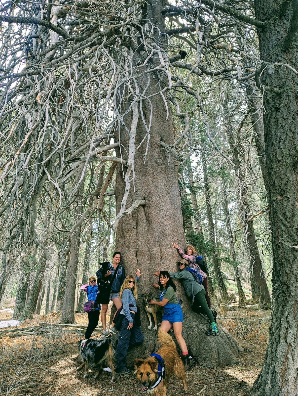 Hike Big Bear’s secret trails with a local guide