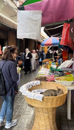 Local Experience through Casablanca