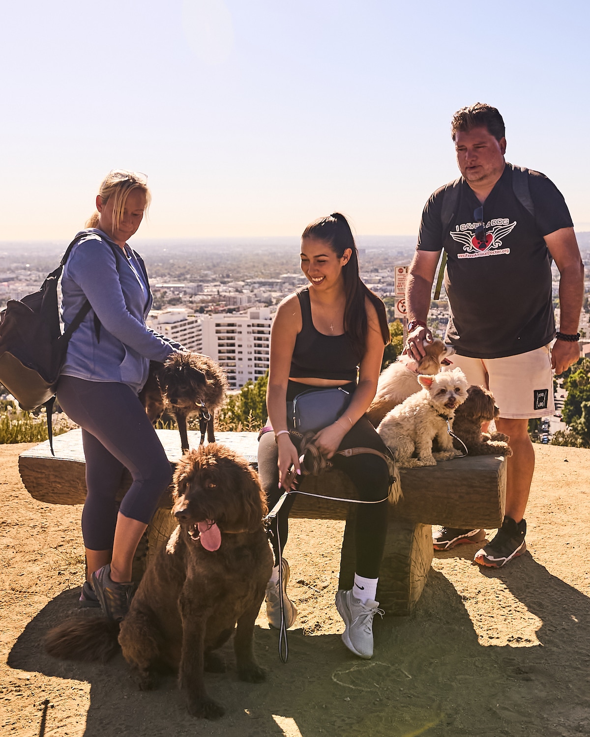 Hike Runyon Canyon with rescue dogs