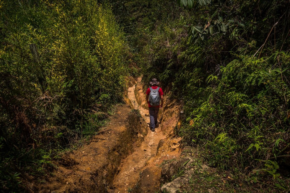 Hike to the hidden waterfall