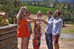 Prueba el vino, la ginebra y el queso del valle de Yarra