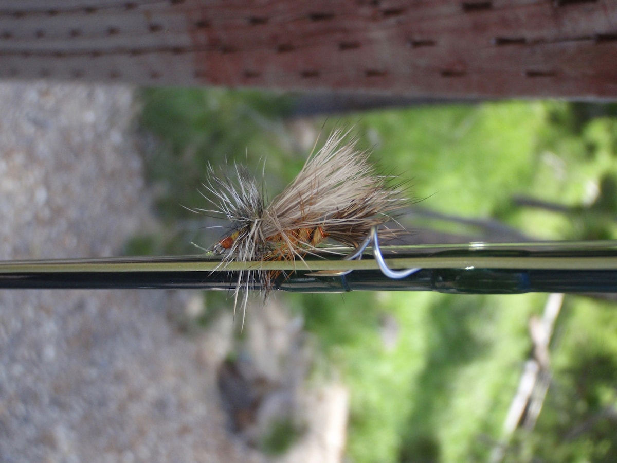Pêche dans un joyau caché de la rivière Kootenai