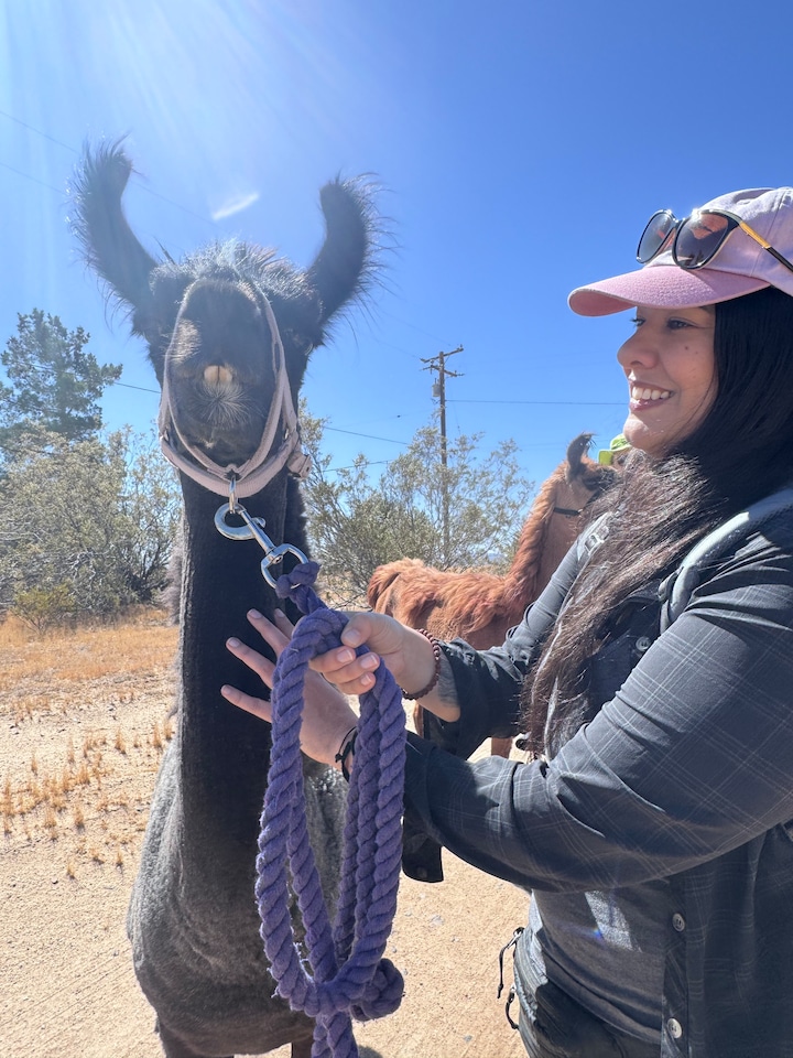 Walk the high desert with a rescued llama · ☆5.0