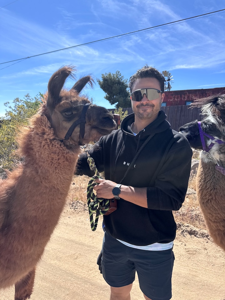 Walk the high desert with a rescued llama · ☆5.0