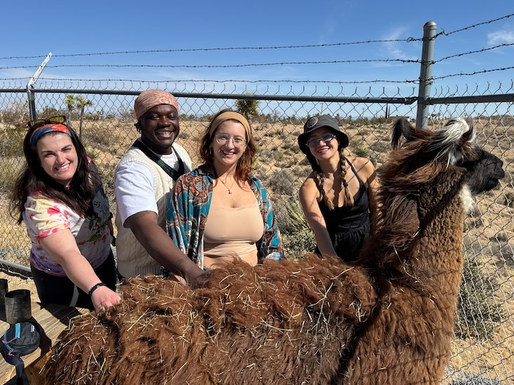 Walk the high desert with a rescued llama · ☆5.0