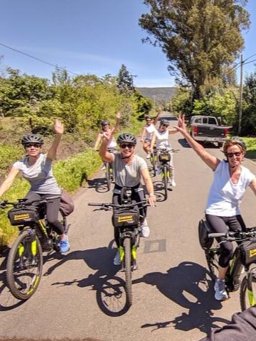 E-Bike through Sonomas Vineyards