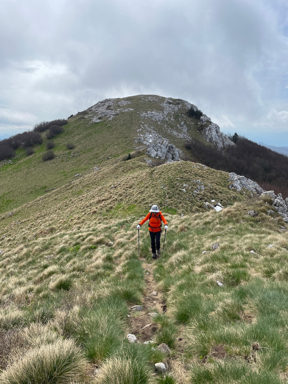 Hike to magic Bjelolasica ridge with a local