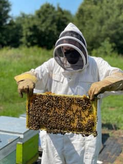 Learn the ins and outs of beekeeping