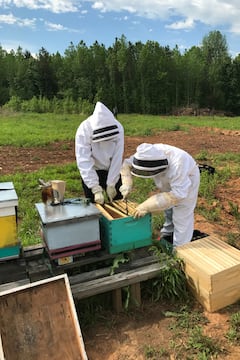 Learn the ins and outs of beekeeping