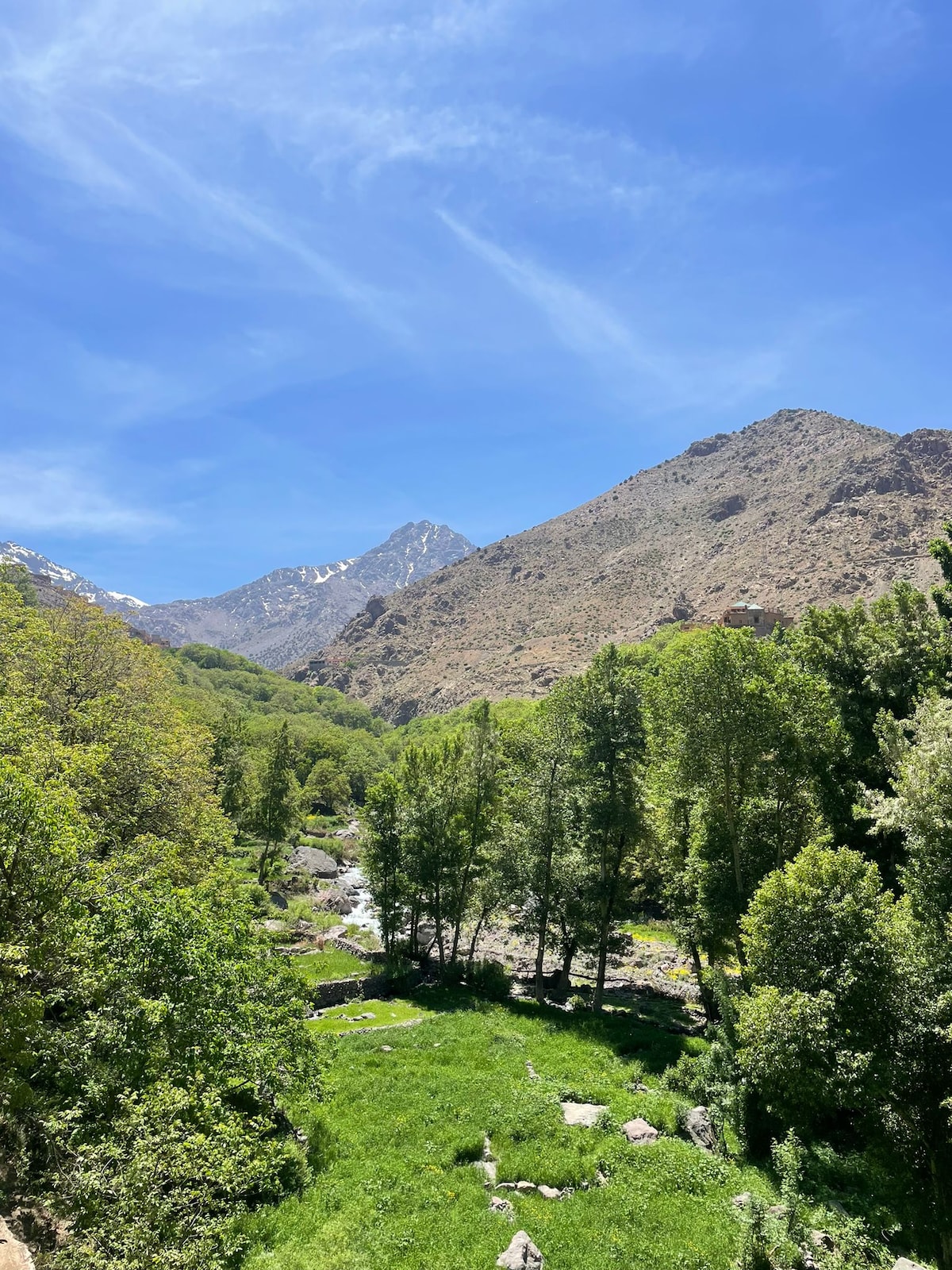 Expérience dans l'Atlas, trois vallées et balade à dos de chameau