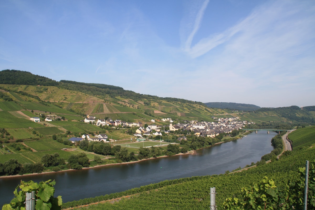 Wagon Tour with Wine Tasting