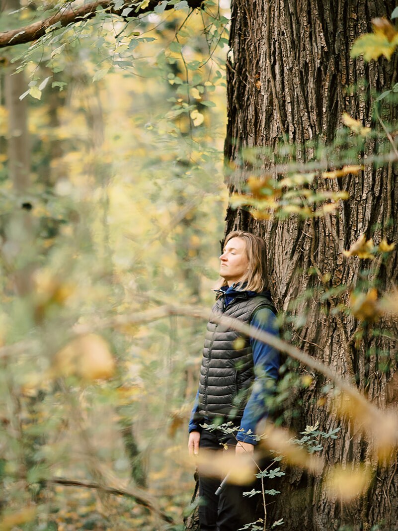 Relax with nature, learn nature therapy for health