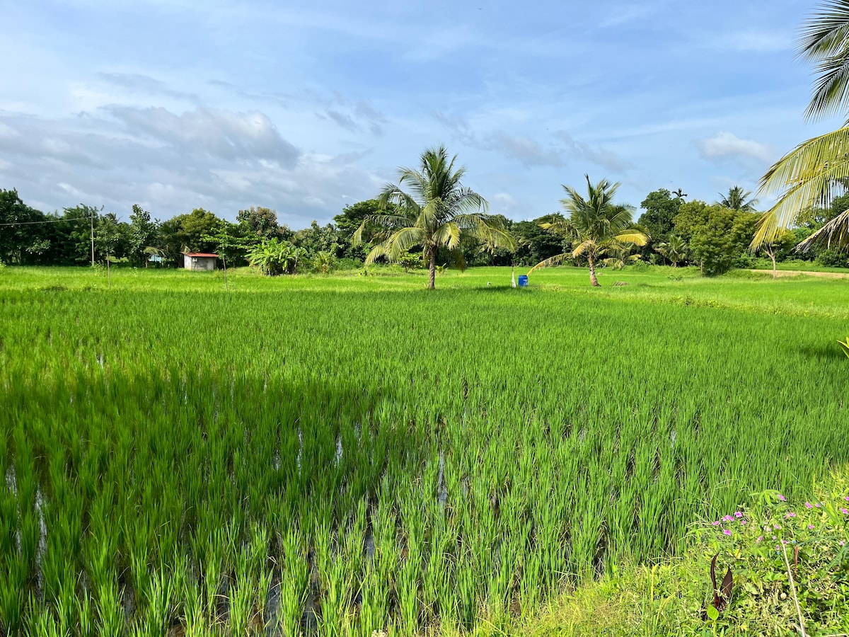 Explore Keralas award-winning organic farm