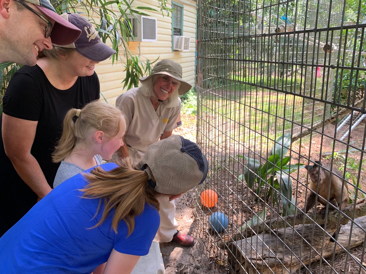 Magical Monkey Experience at Jungle Friends