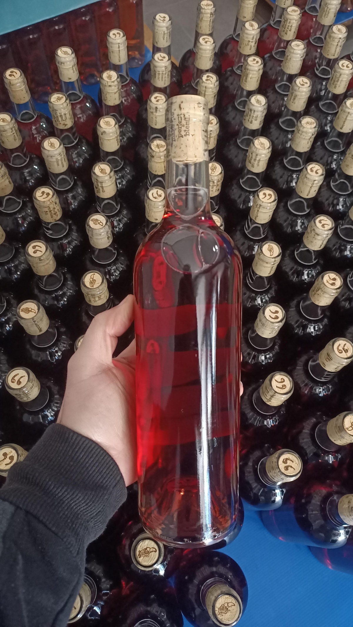 From Vineyard to Glass: Tasting with the Winemaker