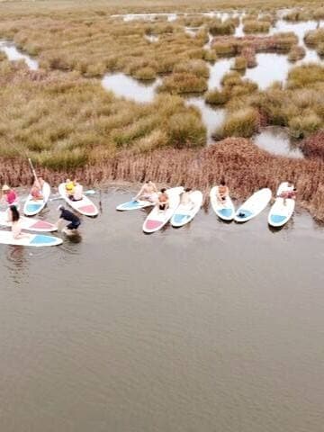 Stand Up Paddle - Ria de Aveiro, 30 minutes from Porto