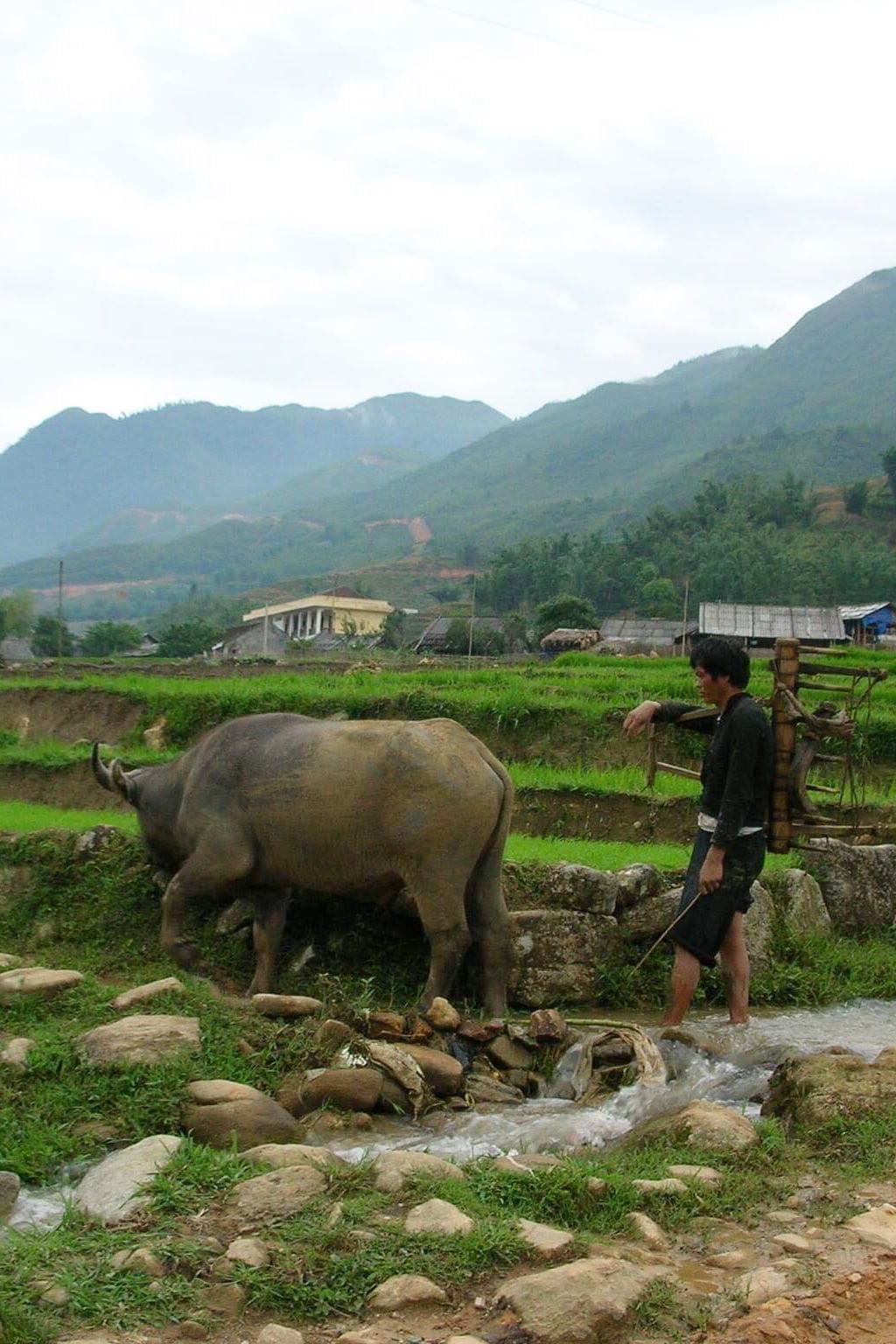 Custom Day trek Adventure