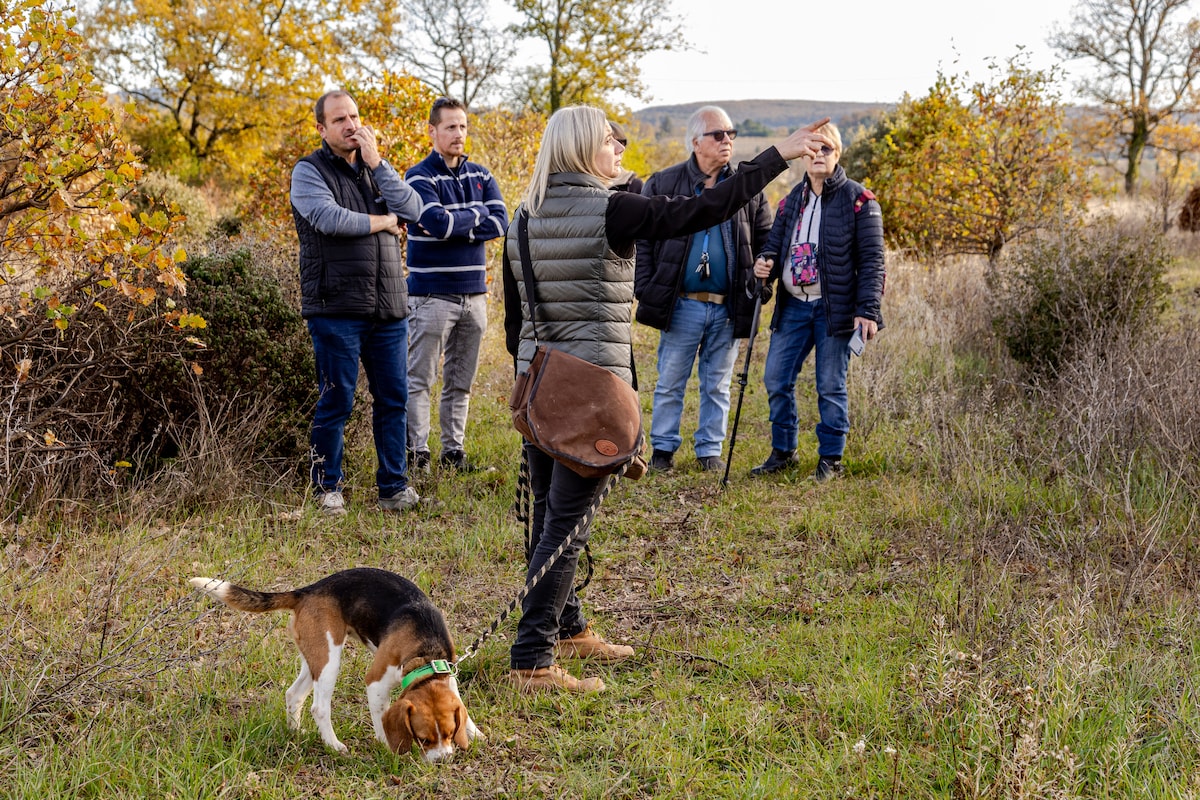 Truffles from farm to fork