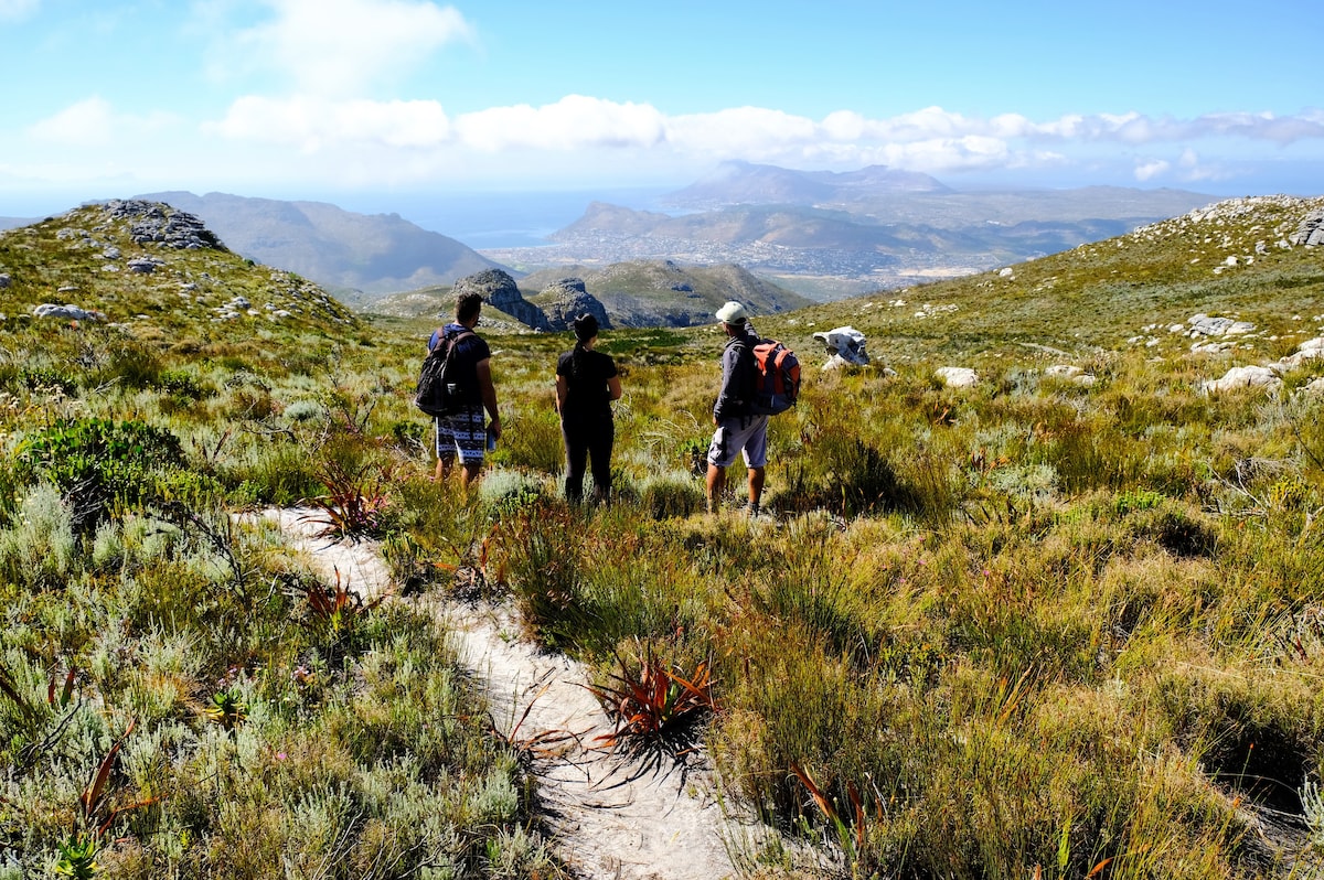 Fynbos Hike at Silvermine