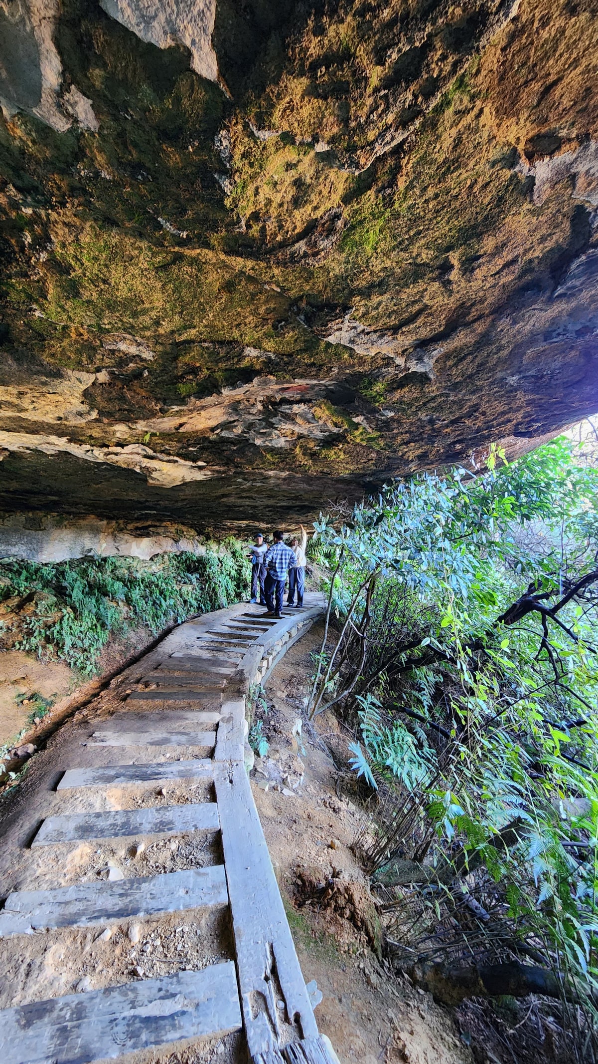 Private Touren in den Blue Mountains mit lokalen Guides