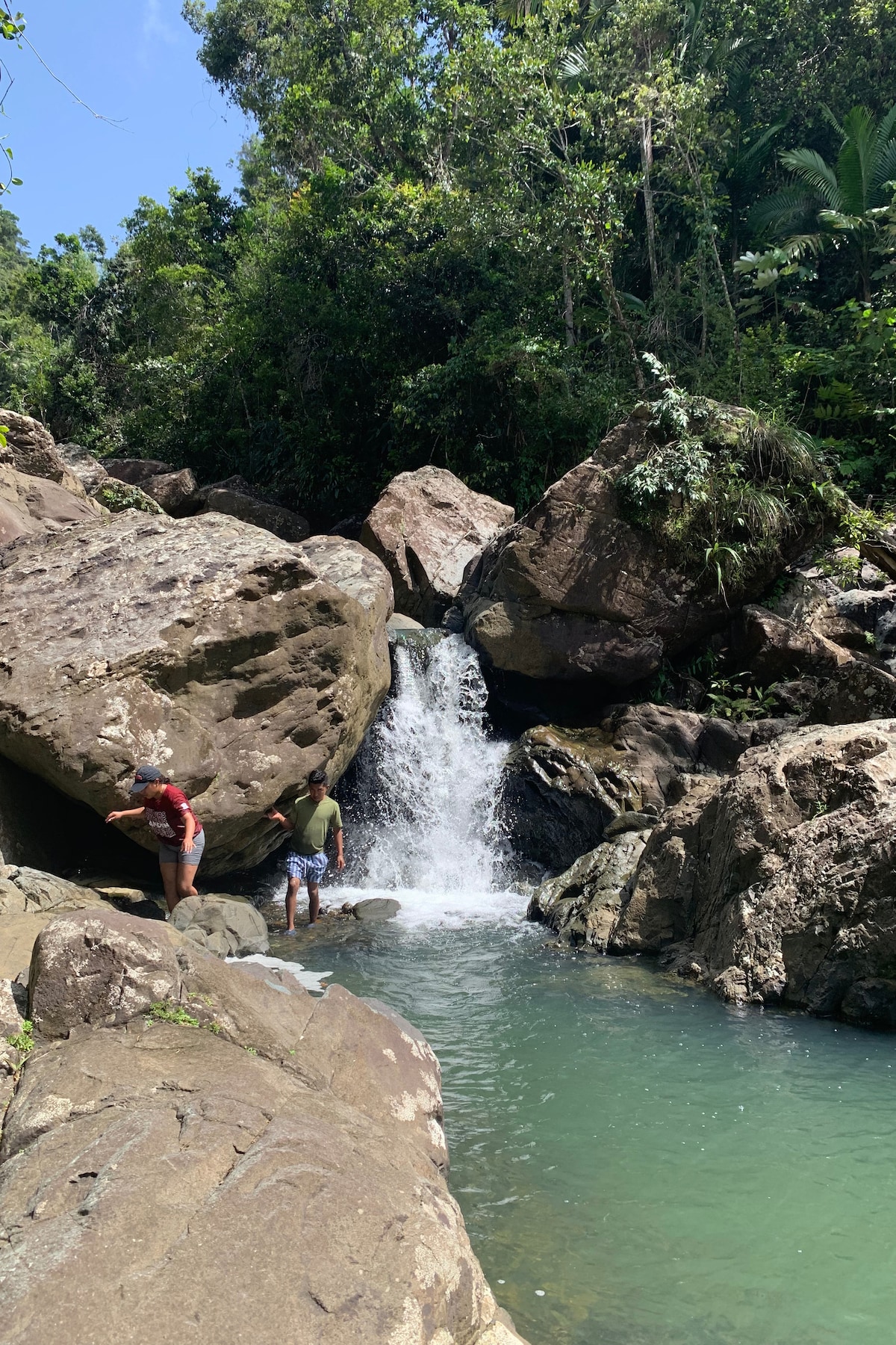 Rainforest Hidden Gems
