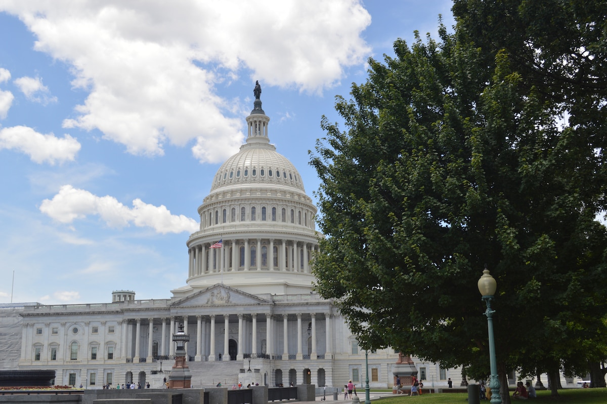See DC In A Day - National Mall Tour