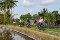 Pasea en bicicleta por los pueblos y los campos de arroz de Ubud
