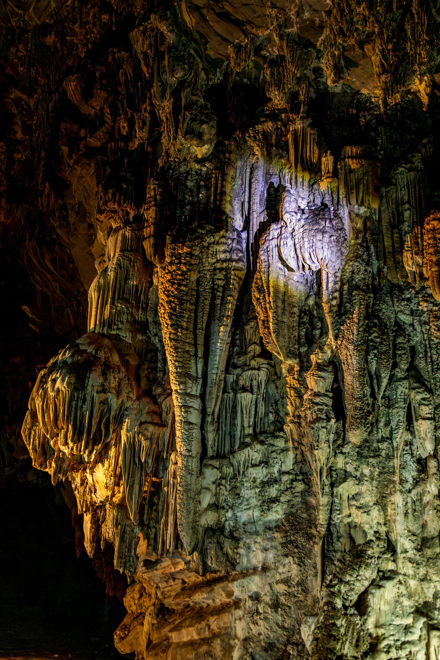 Araseae sp. Kapuas Hulu マハカム川上流域 1 Tour the Cacahuamilpa Caves · ☆4.84
