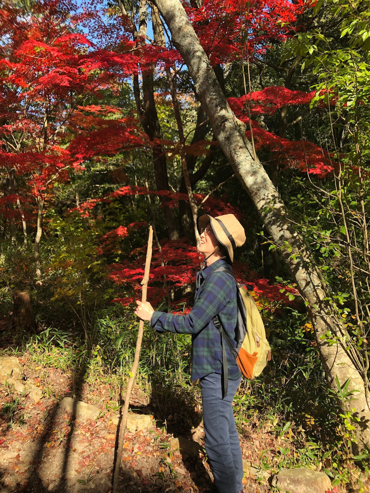 神户山间小径徒步游