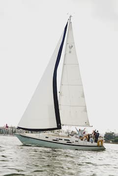 Плавайте с лодка, плувайте и наблюдавайте морски лъвове край Лонг Бийч
