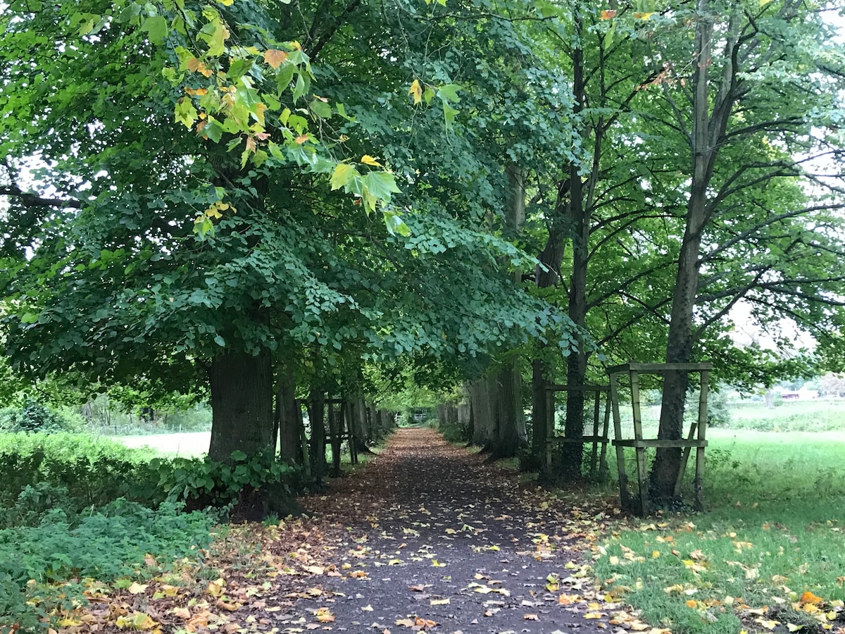 Winchester Running Tour