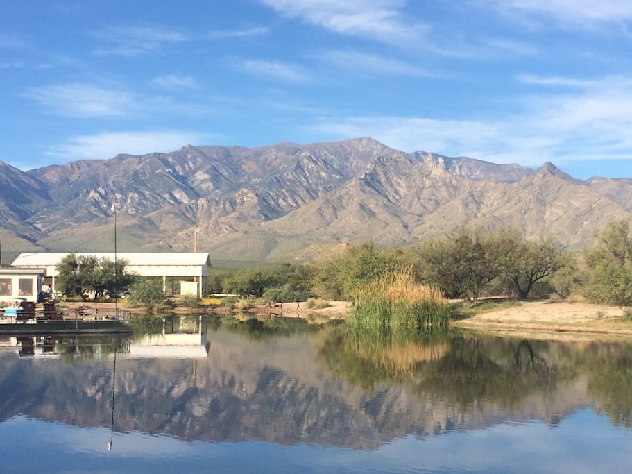 Nature and beauty awaits you in this desert oasis