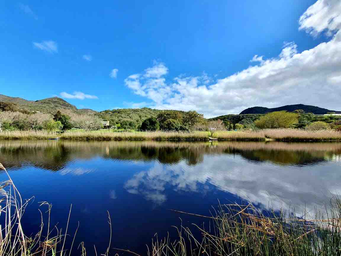 A calm river reflects the blue sky and fluffy clouds, bordered by lush greenery and reeds. The tranquil water creates a serene atmosphere, enhancing the natural beauty of the surrounding landscape.