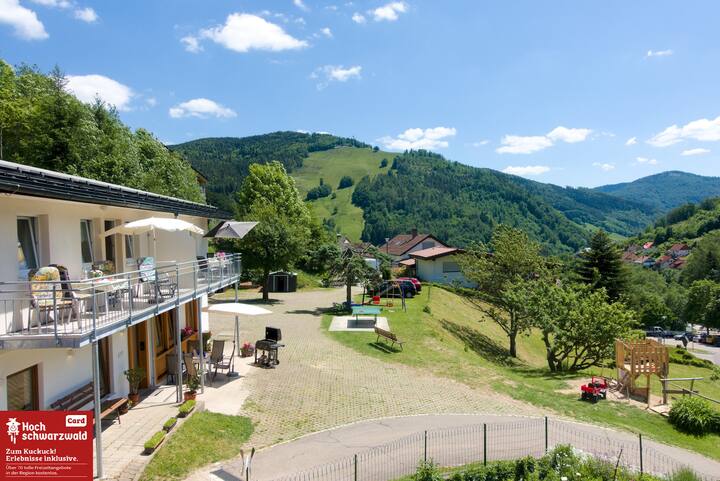 Apartment sun view Todtnau - Cozy traditional black forest family apartment with private BBQ terrace and dish washer
